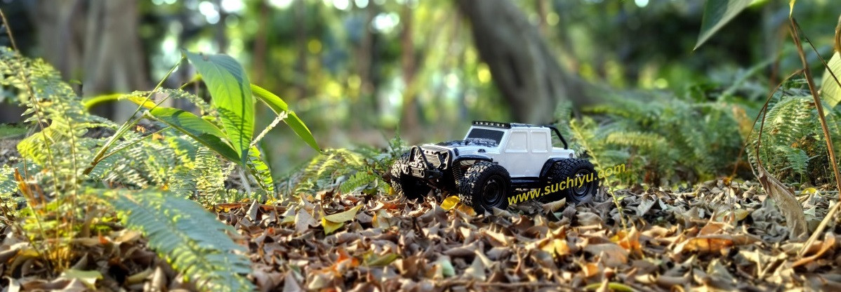SCY 16103 1/16 2.4g 4wd rc car, brushed version,top speed 38KM/h